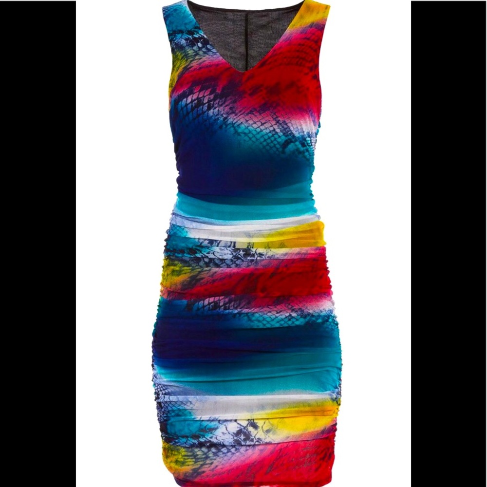 Boston Proper Snakeskin Mesh Multiple Color Dress